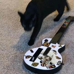 欧美人成在线视频
